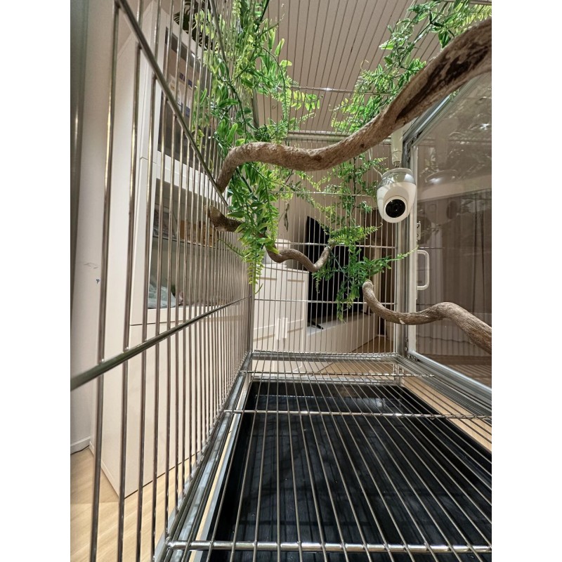 Birdcage Manufacturer - Luxury Custom Iron Double Door Acrylic