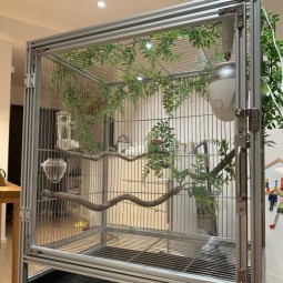 Birdcage Manufacturer - Luxury Custom Iron Double Door Acrylic