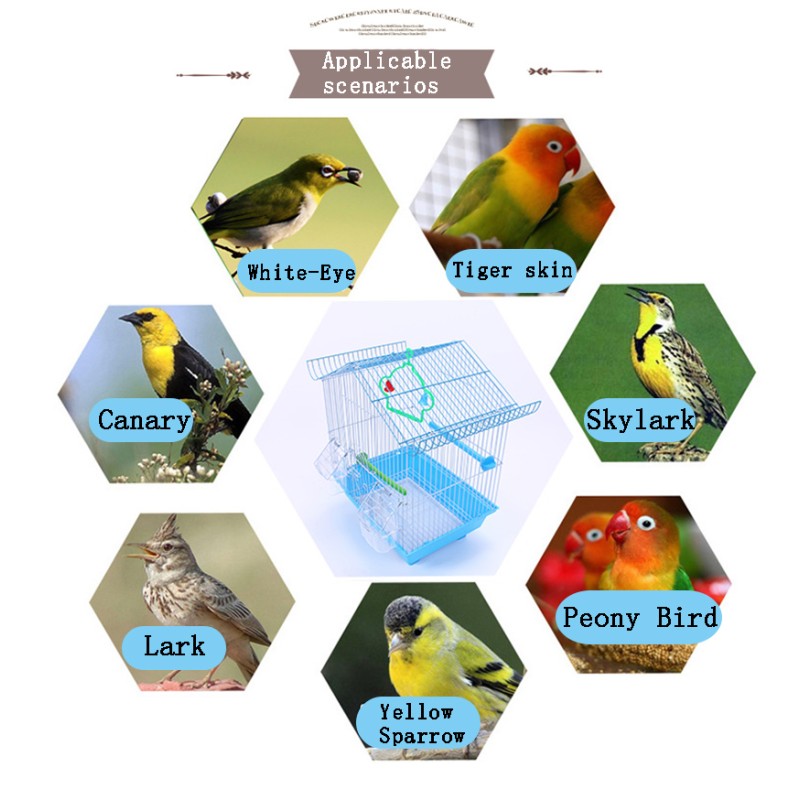 Bird Cage Factory - New Carrier House Type Vintage Decorative