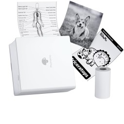 Mini Printer Factory - Phomemo M02 Thermal Inkless Sticker