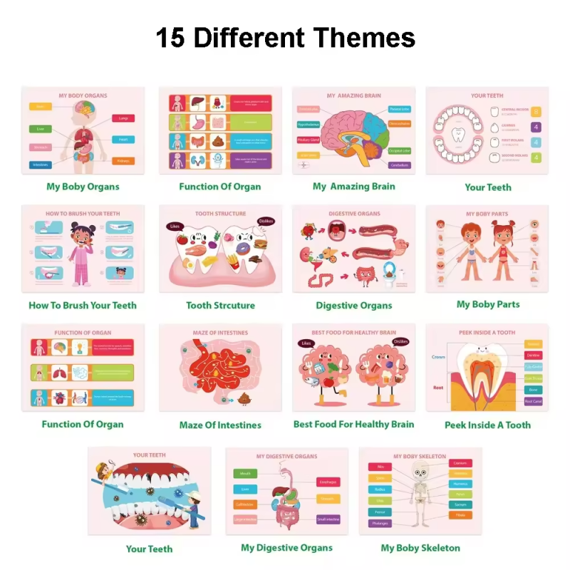 Preschool Learning Book Factory - OEM Body Anatomy Busy Activity