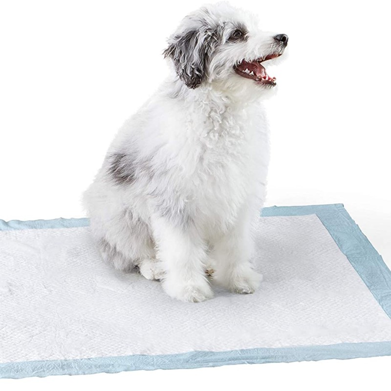 Pet Training Pads OEM - Wholesale Heavy Duty Absorbency