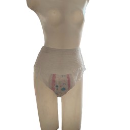 Sanitary Panties Factory - Leak Proof Eco Friendly Mesh