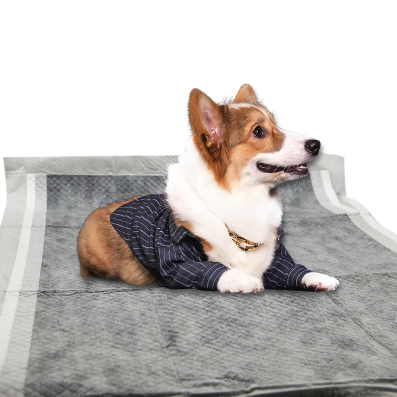 Pet Training Pad - Best Selling Puppy Toilet Pee Pads
