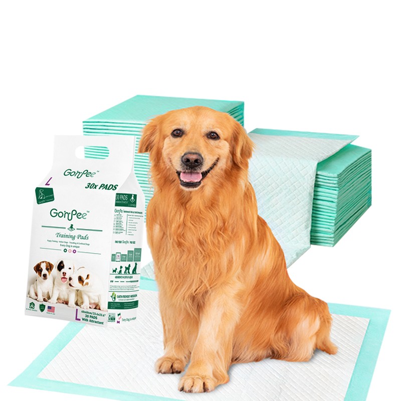 Pet Pads Factory - OEM Custom Dog Training Pee Pads Customizable