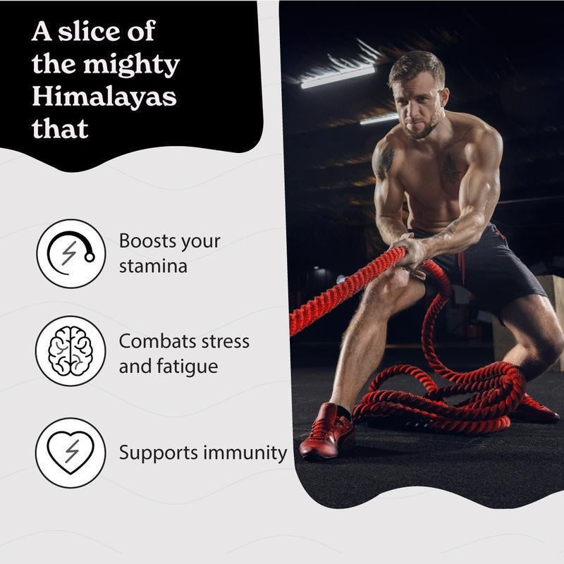 OEM/ODM 30G 50G Himalayan Shilajit 75% Fulvic Acid Pure Shilajit Resin Dietary Supplement