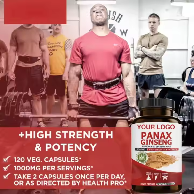 OEM Private Label Best Price Supplements Panax Ginseng Capsules / Panax Ginseng Supplement