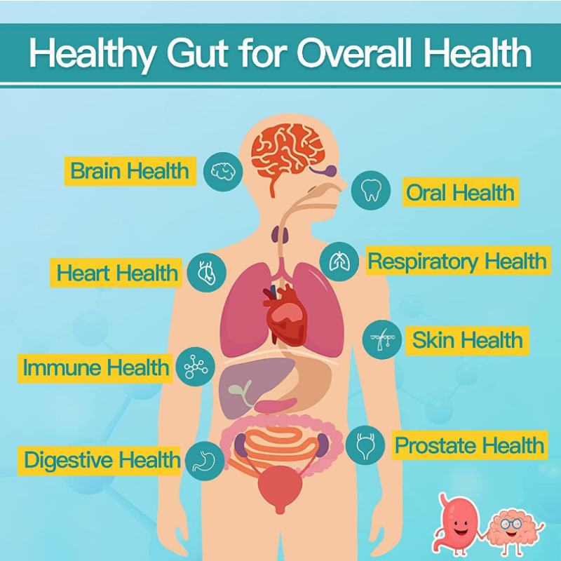 Provide Oem Package Wholesale Price Probiotics for Men Tablets boost Immune System for Male Health