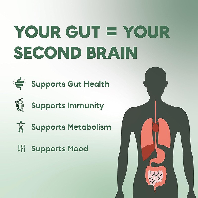 Provide Oem Package Wholesale Price Pre & Probiotics Tablets boost Support Immune System Digestion and Gut Health