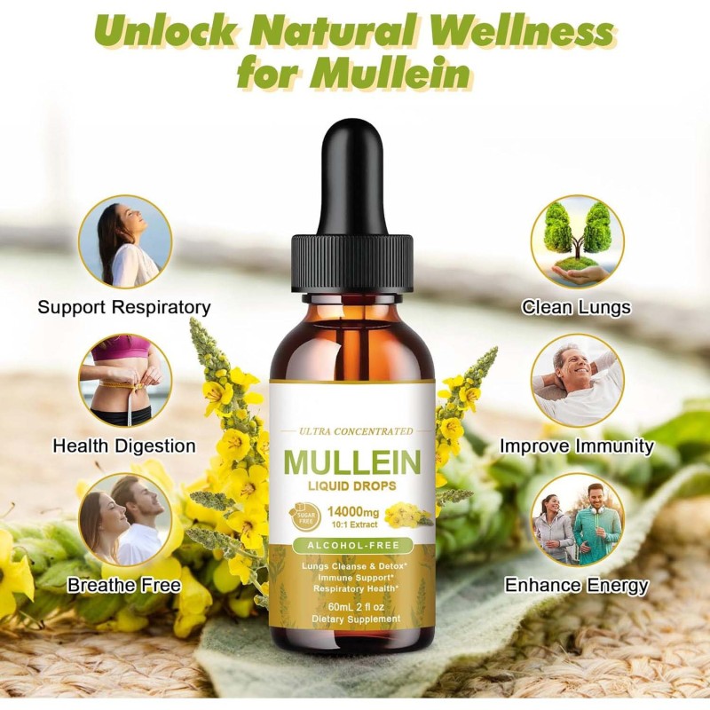 OEM Package Mullein Extract Liquid Drops for Lung Cleanse and Detox Respiratory Drops Health Supplement Vegan