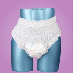 Sanitary Pants Factory - Overnight No Leak Disposable Underpants