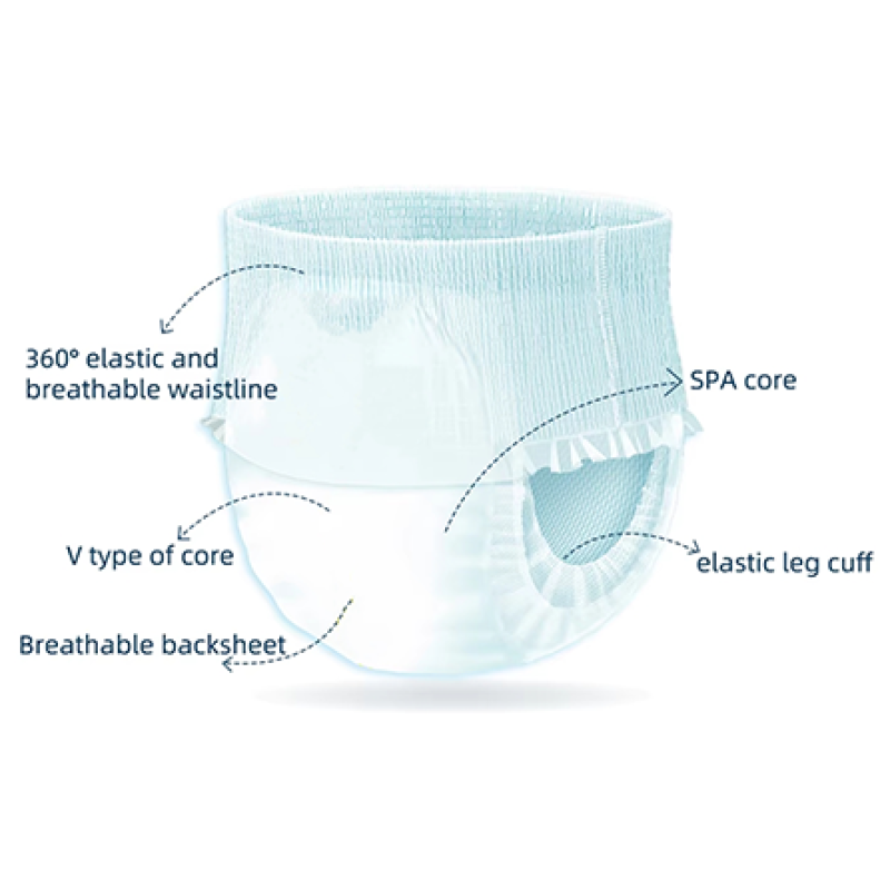 Adult Diaper Wholesale - Free Sample Pull up Pants Disposable