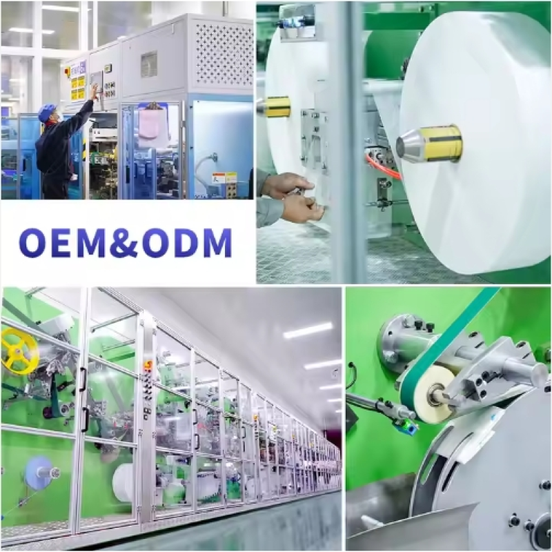 Sanitary Pads Factory - Reusable Organic Anion Panty Liners