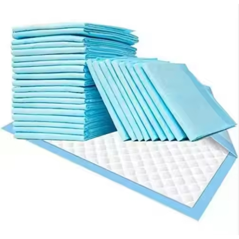 Incontinence Pads Factory - Period Bladder Control Treatment