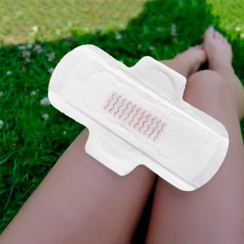 Sanitary Pad Factory - Private Label Anion Disposable Panties