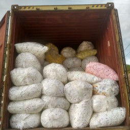 Sanitary Pads Factory - OEM Custom Koreasanitarypad Cartoner