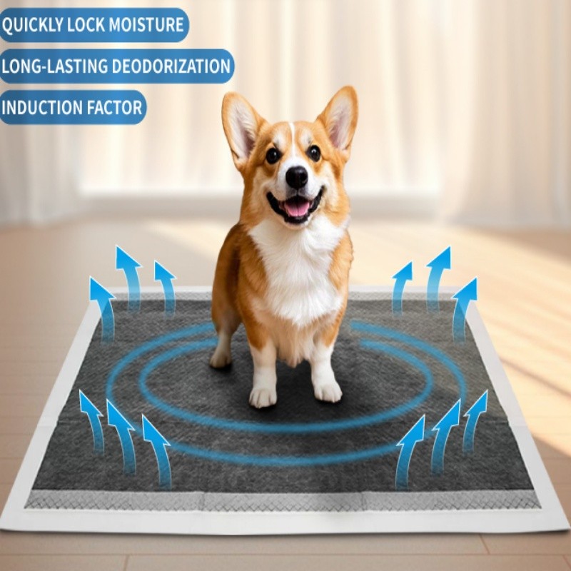 Pet Training Pads Factory - OEM Custom Absorbent Disposable Dog Pee Pads