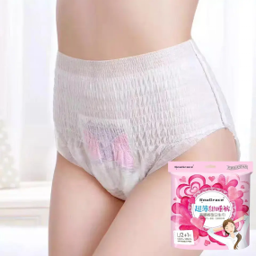 Women's Sanitary Pants Factory - OEM Custom Disposable Period Diapers