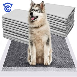 Pet Training Pads Manufacturer - OEM Custom Instantaneous Absorption Pee Pad