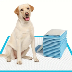 Pet Training Pads Manufacturer - OEM Custom Disposable Puppy Pads