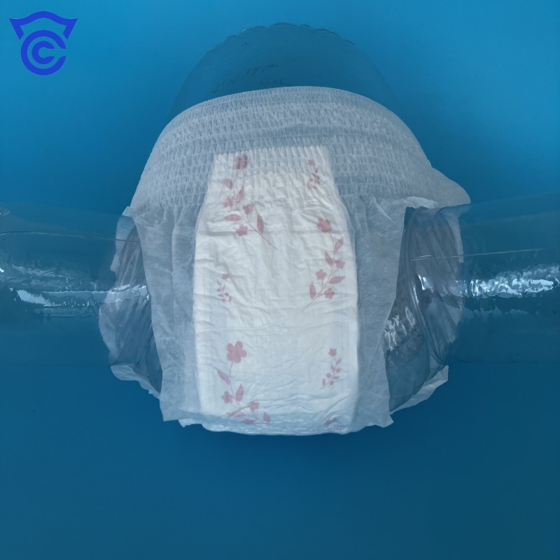 Sanitary Pants Factory - OEM Custom Disposable Leakproof Menstrual Underwear