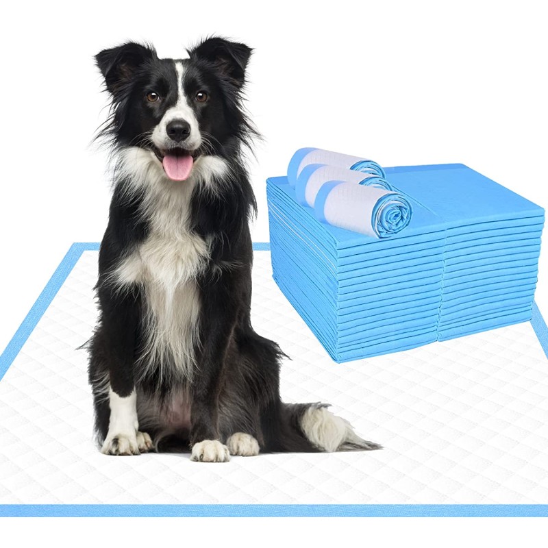 Pet Training Pad Manufacturer - Hot Selling 5 Layers Customised