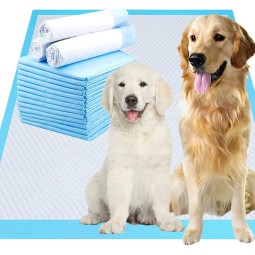 Pet Training Pad Manufacturer - Soft 6 Layer Urine Absorbent