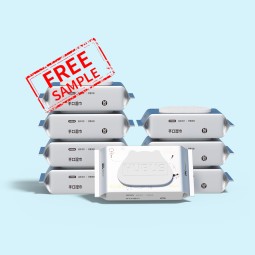 Wet Wipes Manufacturer - OEM Custom Flushable Antibacterial Personal Hygiene Wipes