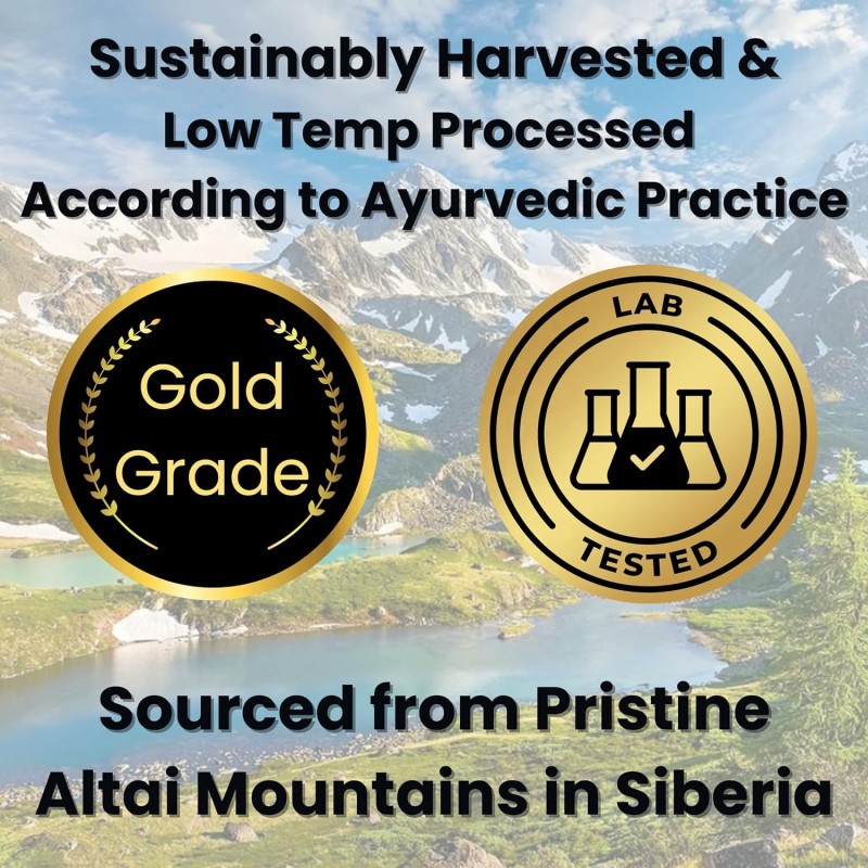 OEM/ODM Professional Organic Shilajit in Authentic Tablet Health Supplement for Energy, Immune Support