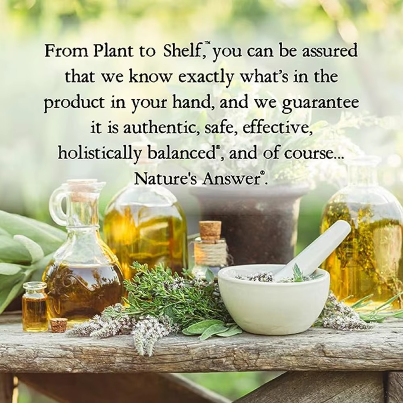 ODM Eyebright Herb 1oz Extract Supports Eyes & Vision | Non-GMO | Alcohol-Free, Gluten-Free, Kosher Certified, Vegan