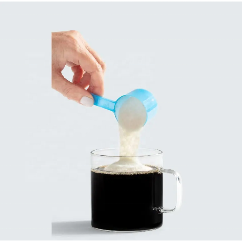 OEM/ODM Pre Workout Enhance Creatine Monohydrate Powder for Building Muscle 100g