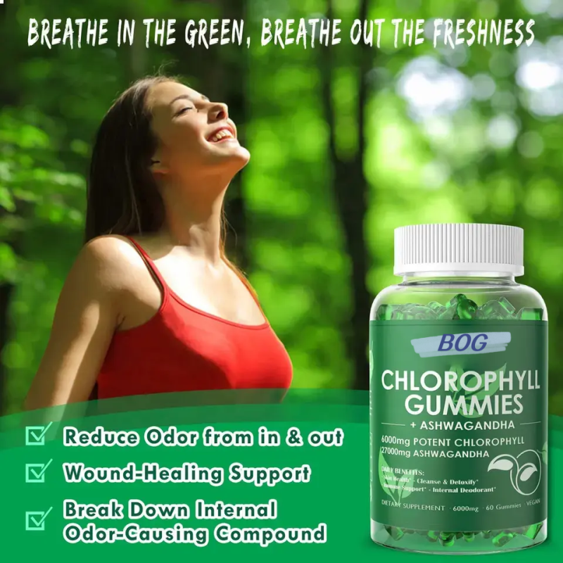 Private Label Natural Chlorophyll Gummies High Potency for Skin Health and Immune Support