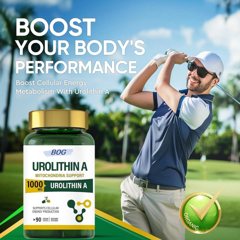 OEM Urolithin a Capsules Supplement Powerful Antioxidant Protection Mitochondrial Health and Cell Repair