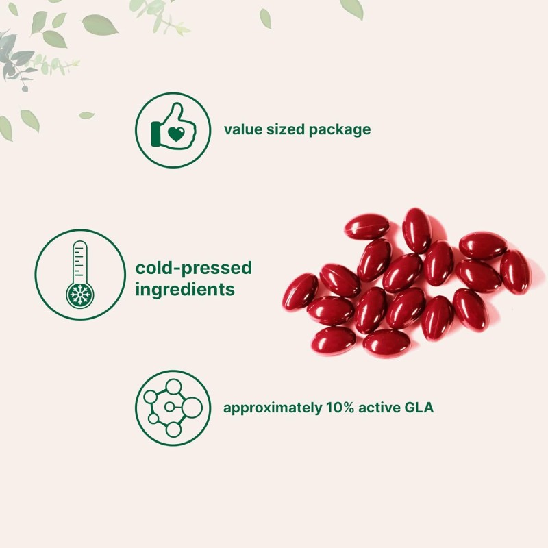 OEM ODM Organic Evening Primrose Oil Capsule Softgel With Black Cohosh Extract for Skin and Hair Support