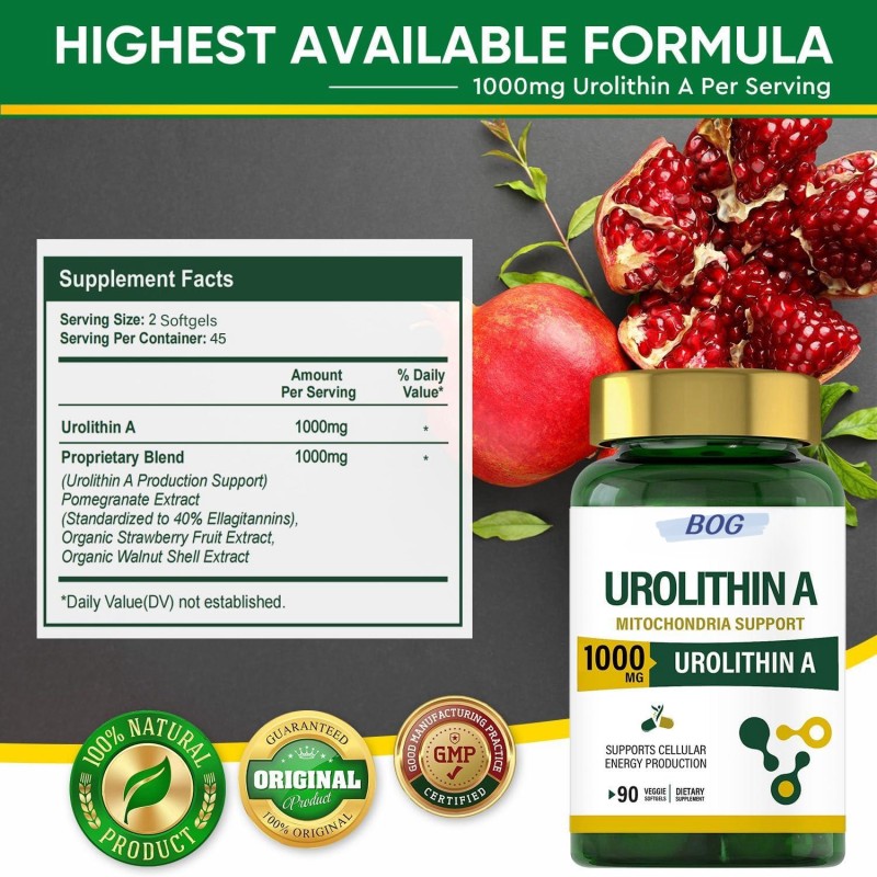 OEM Urolithin a Capsules Supplement Powerful Antioxidant Protection Mitochondrial Health and Cell Repair