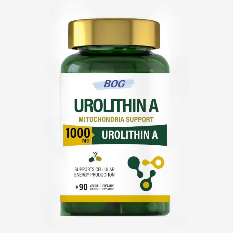 OEM Urolithin a Capsules Supplement Powerful Antioxidant Protection Mitochondrial Health and Cell Repair