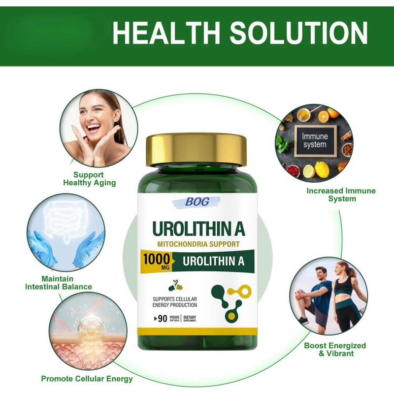 OEM Urolithin a Capsules Supplement Powerful Antioxidant Protection Mitochondrial Health and Cell Repair