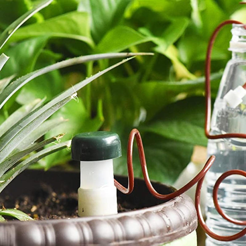 Watering Spike Manufacturer - Terracotta Automatic Stakes