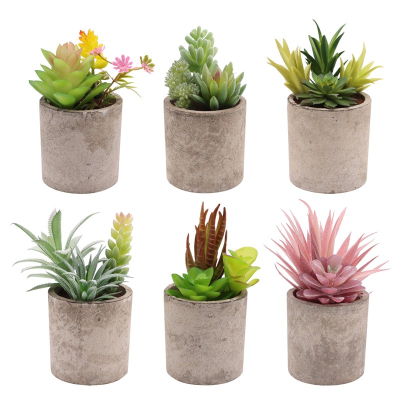 Topiary Factory - Mini Potted Faux Plastic Decoration