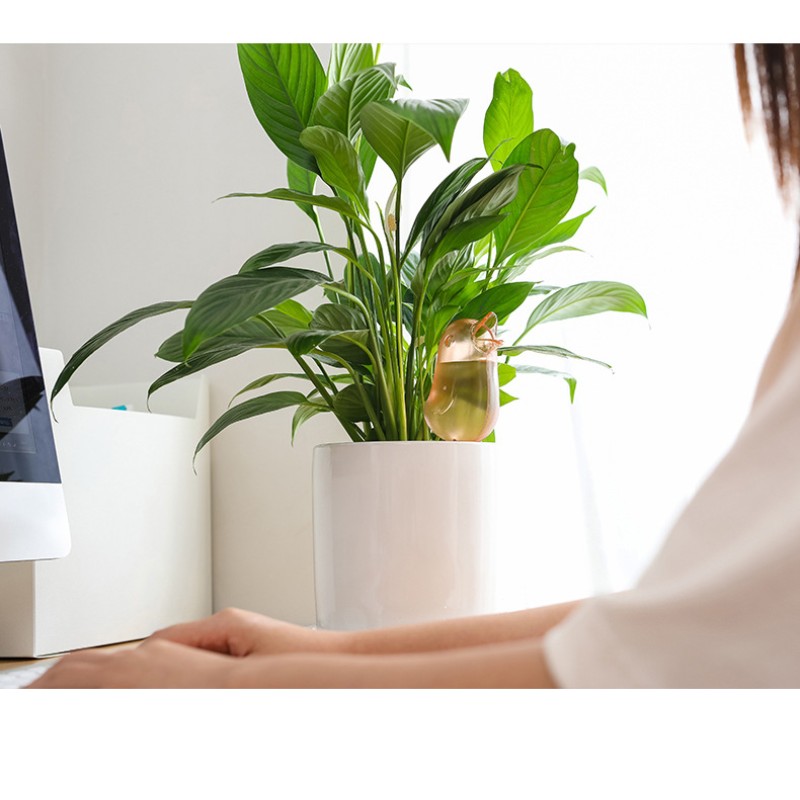 Watering Spike Supplier - Terracotta Self Watering Pots