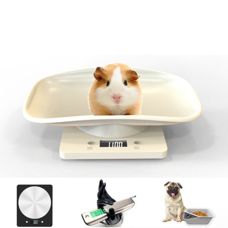 Pet Scale Manufacturer - Digital Weight LCD Display