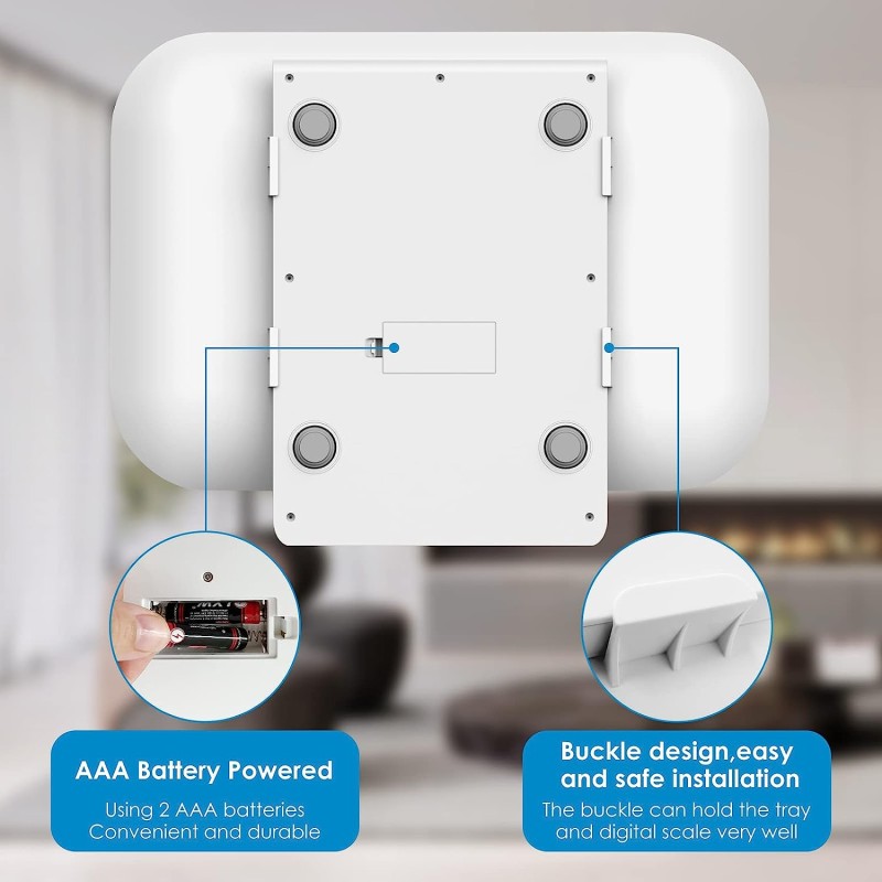 Digital Scale Factory - Electronic Pet Food Weighing