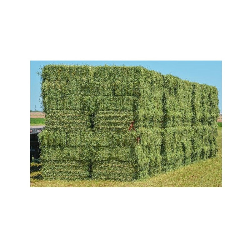 Alfalfa Hay Bales Manufacturer - Wholesale Pure Animal Feed