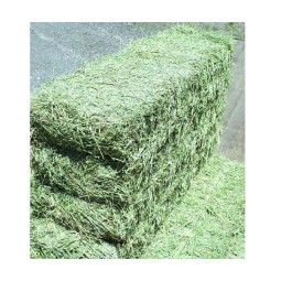 Alfalfa Hay Manufacturer - Wholesale Natural Cattle Feed