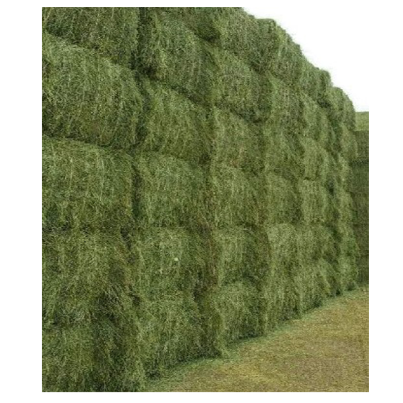 Alfalfa Pellets Supplier - Bulk Timothy Hay Animal Feed