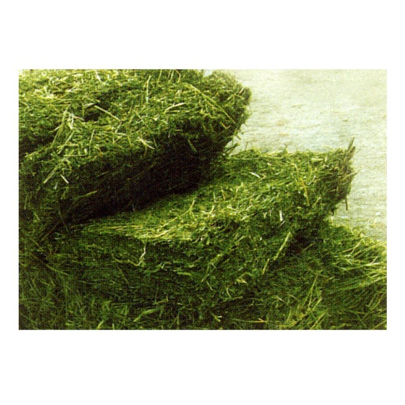 Alfalfa Hay Bales Manufacturer - Bulk Supply Animal Feed Grade