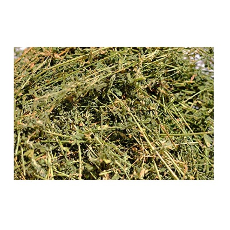 Alfalfa Pellets Supplier - Bulk Timothy Hay Animal Feed