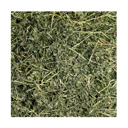 Alfalfa Hay Bales Manufacturer - Bulk Supply Animal Feed Grade