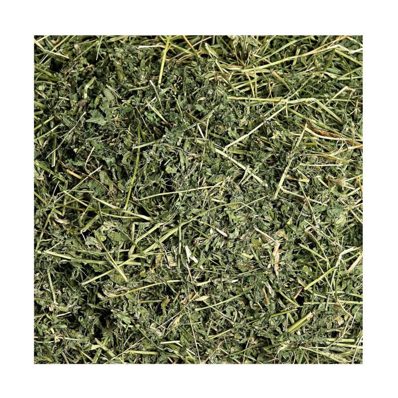 Alfalfa Hay Bales Manufacturer - Bulk Supply Animal Feed Grade