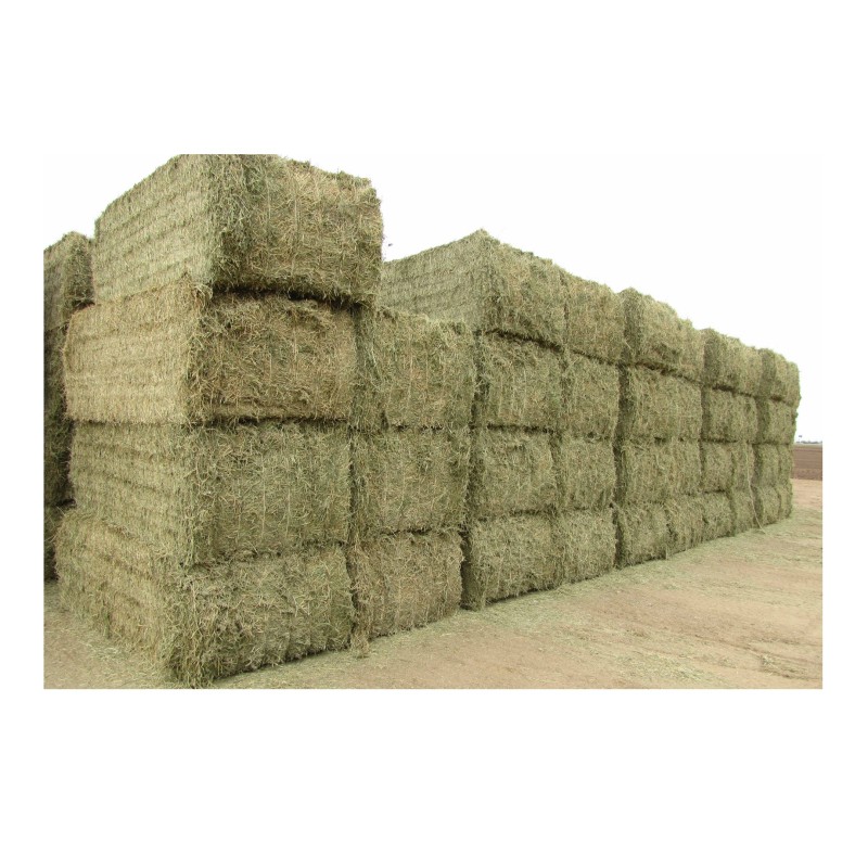 Alfalfa Pellets Supplier - Bulk Timothy Hay Animal Feed